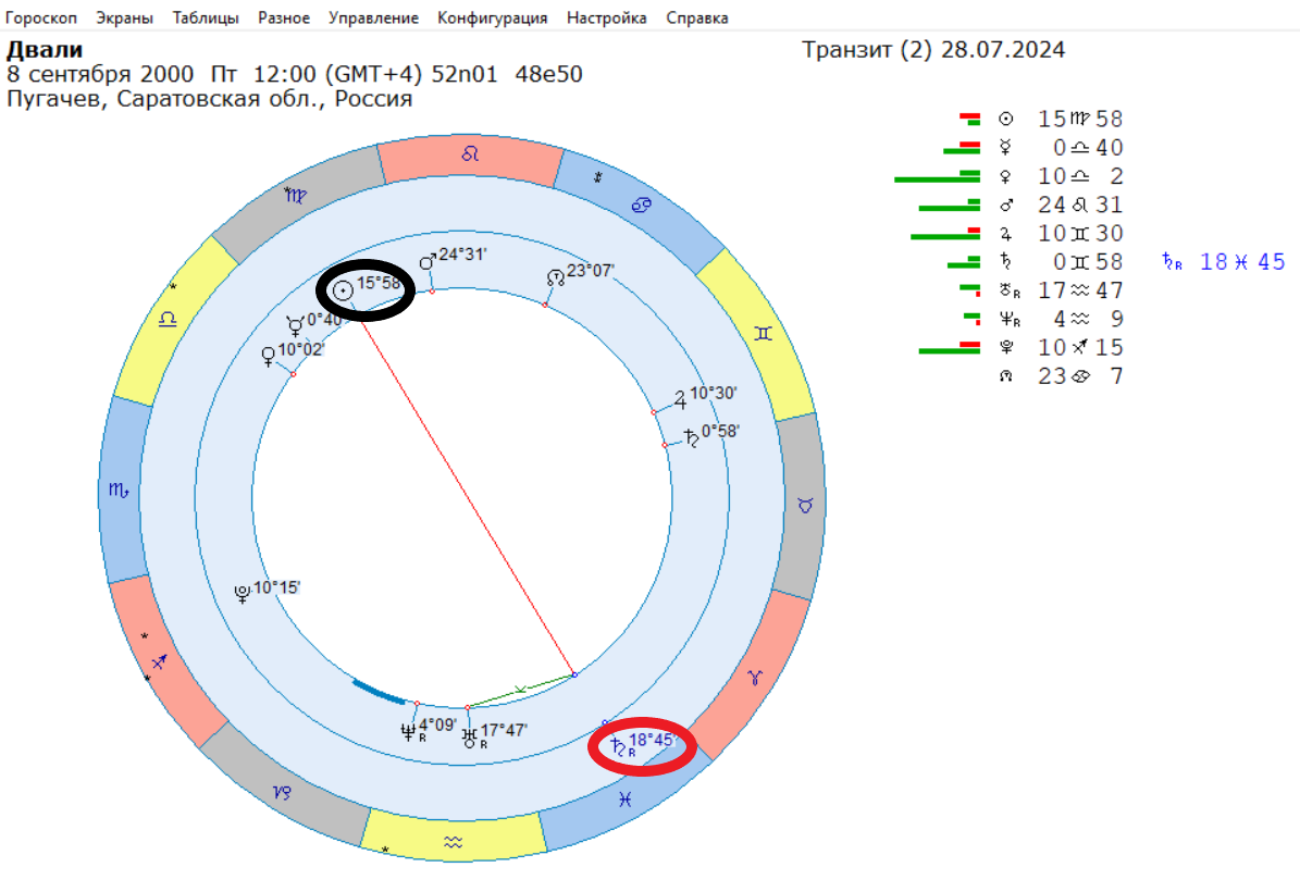 Д. Двали в драке чуть не потерял глаз.