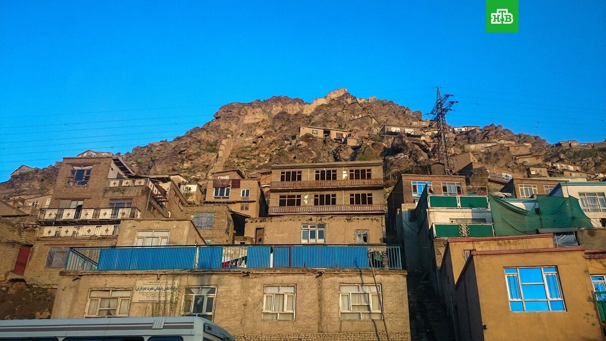    Фото: farin sadiq / unsplash.com