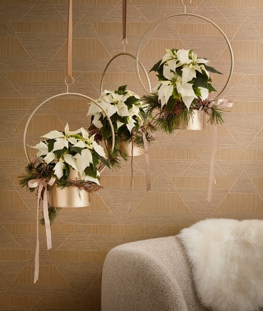 Источник: https://unsplash.com/