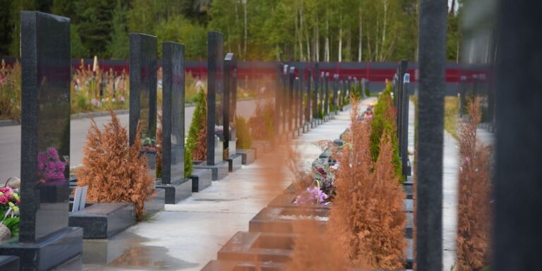    Фото: Пресс-служба Департамента торговли и услуг города Москвы Анастасия Давыдова