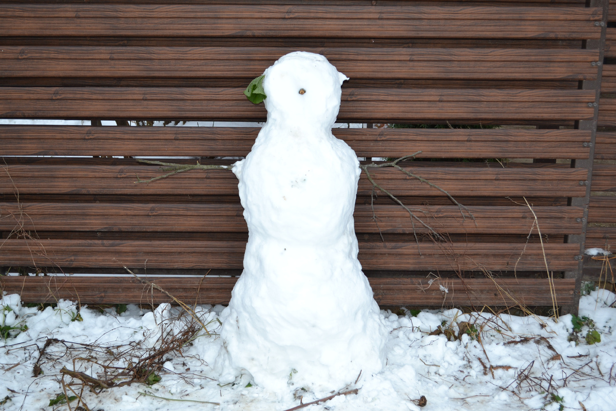 В этой статье будут просто зимние фото