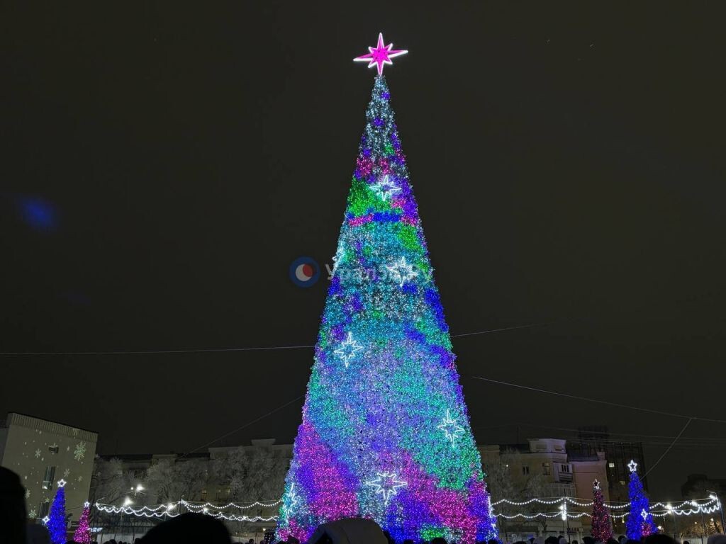    Елки из Оренбургской области будут бороться за звание лучших в России