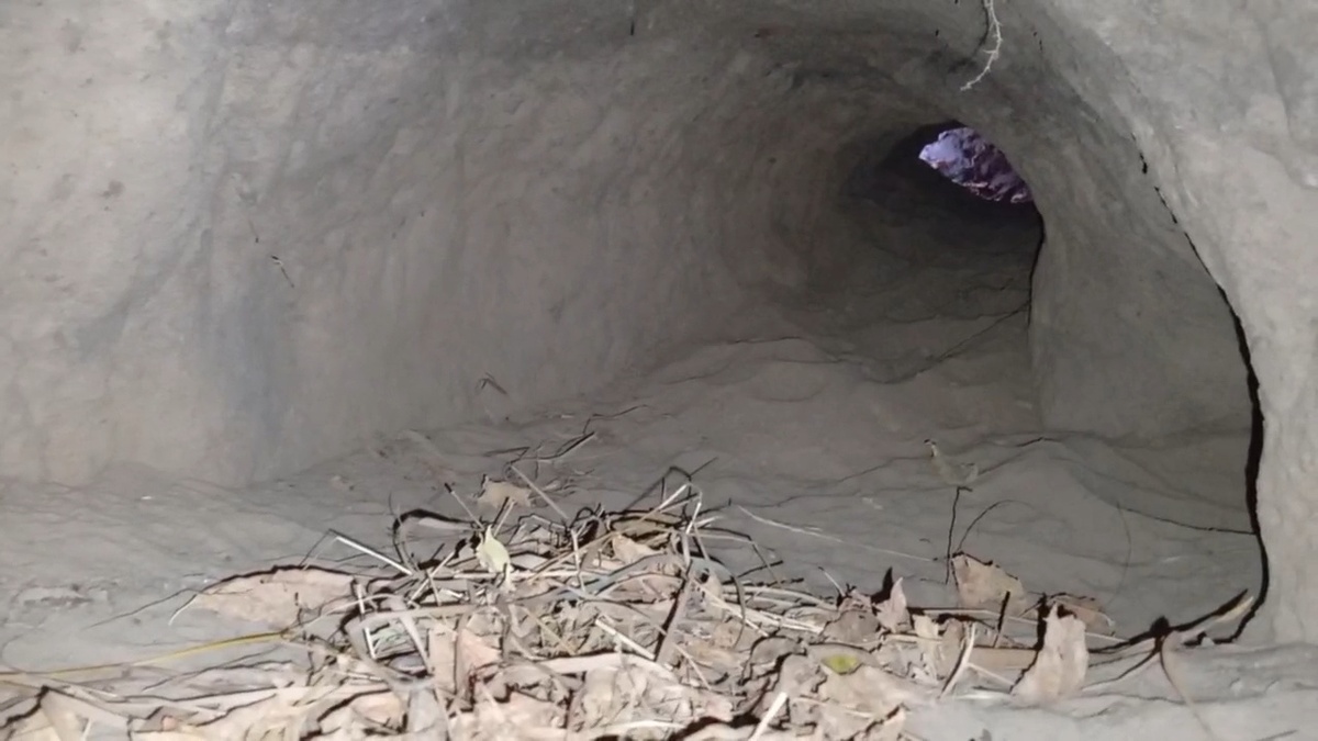 Нюшино укрытие 