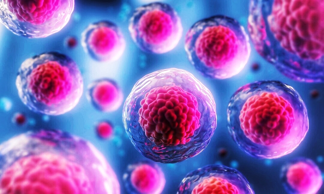 Измененное изображение для оформления статьи 