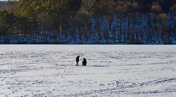 Фото: Владимир Юрченко (архив)