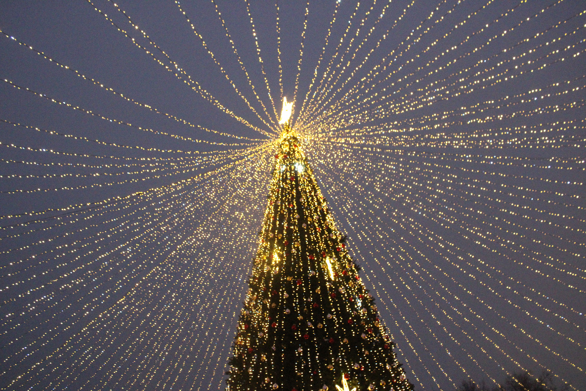 Звездное небо! Именно его хотели показать авторы инсталляции