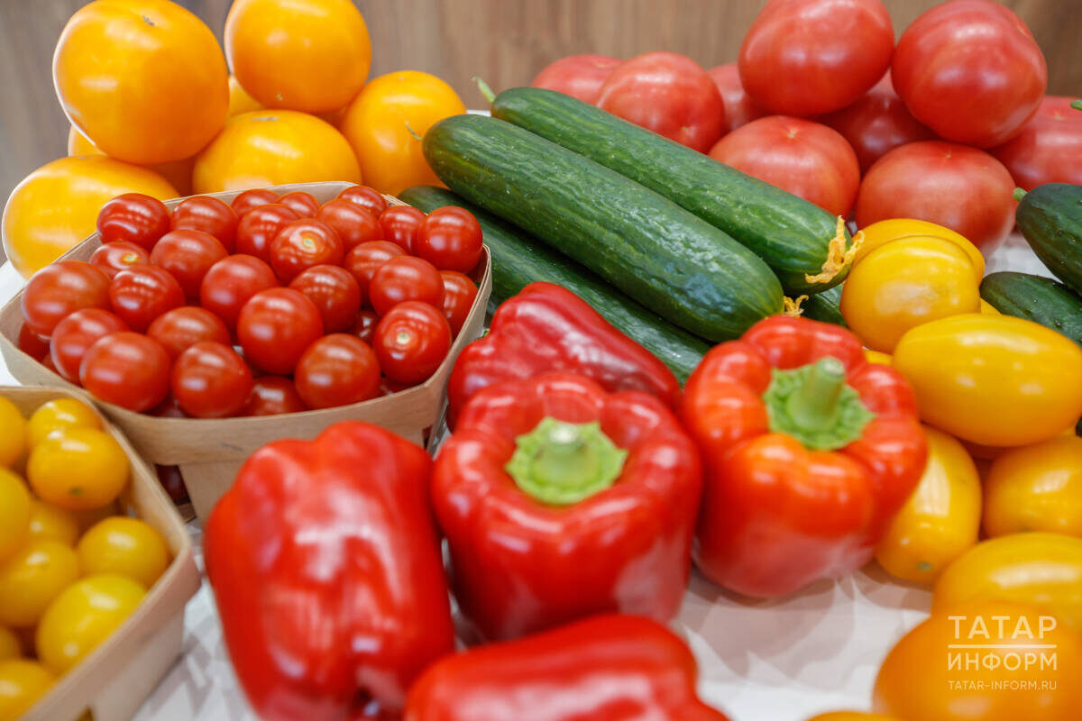 ​Россияне стали ответственнее относиться к своему питанию и здоровьюФото: © Владимир Васильев / «Татар-информ»