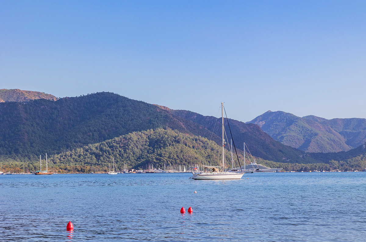    Светлана Парфенова