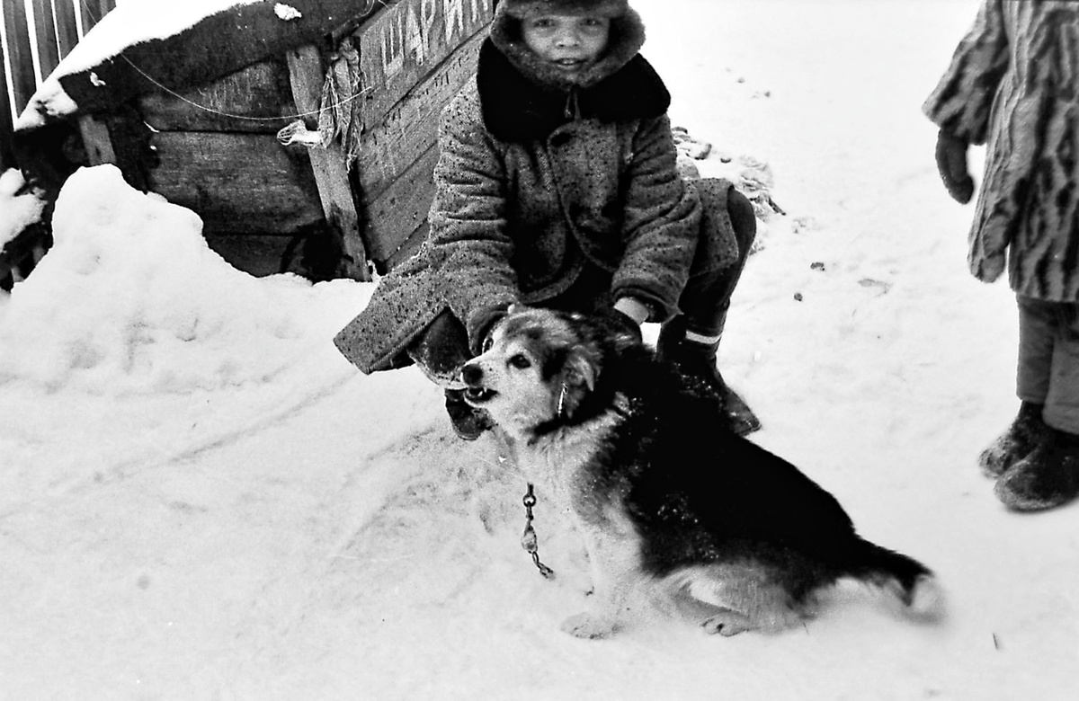 Без собаки в деревне никак не обойтись! 
