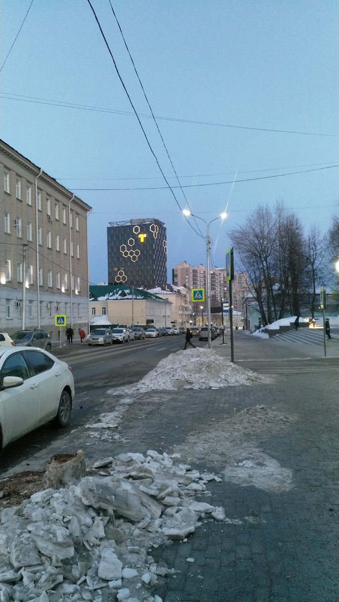 Вырубку начали зимой