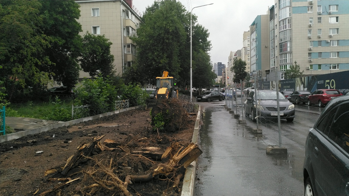 Летом активно продолжили