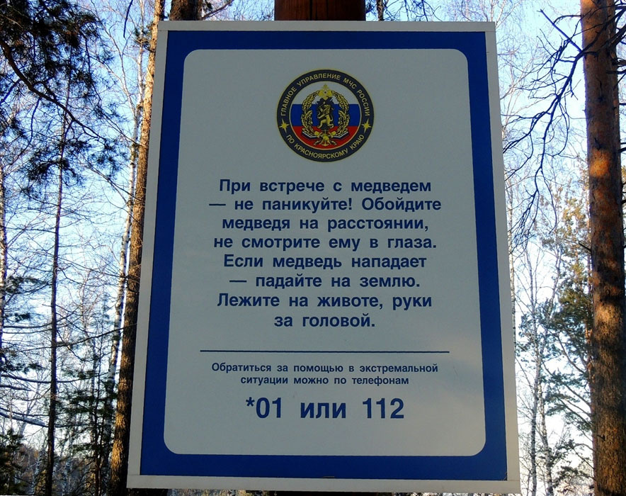 Алё, добрый день, на меня тут медведь нападает. Чё делать? Не паниковать и лежать на земле? Хорошо, спасибо.