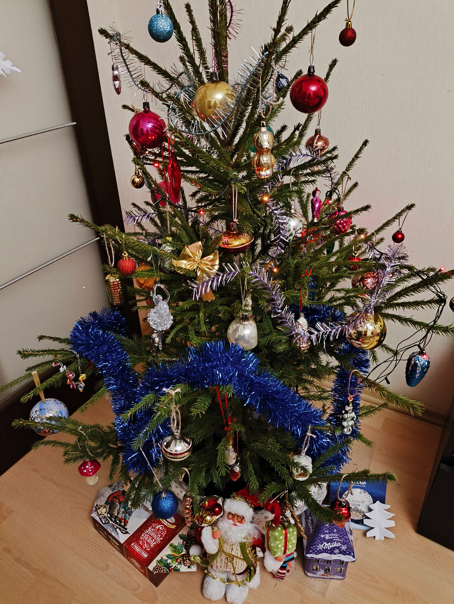 Новогодняя гостья. Фото автора.