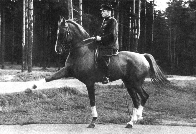 Г.Т. Череда на Софисте. Источник: открытый доступ