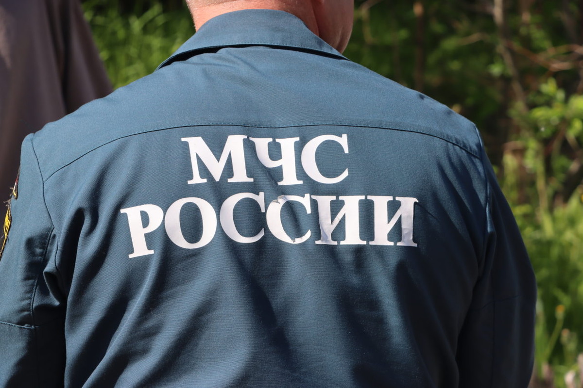    Фото: "Республика" / Родион Филиппов.