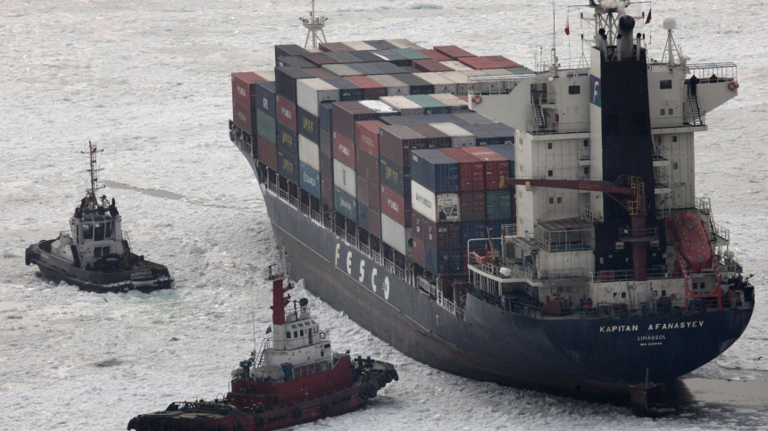    Фото: © РИА Новости/Виталий Аньков