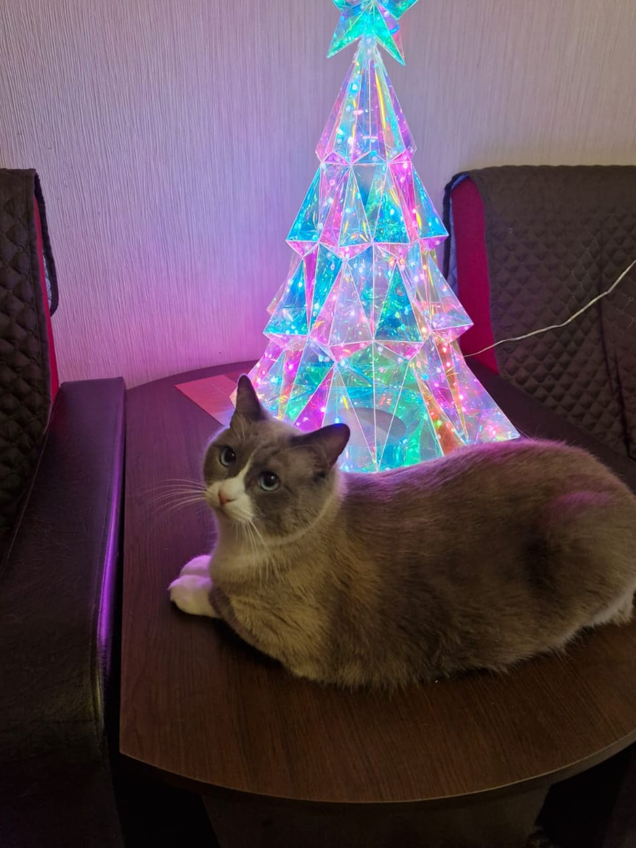 Вот, другое дело, елочка светится. Значит Новый год близко.