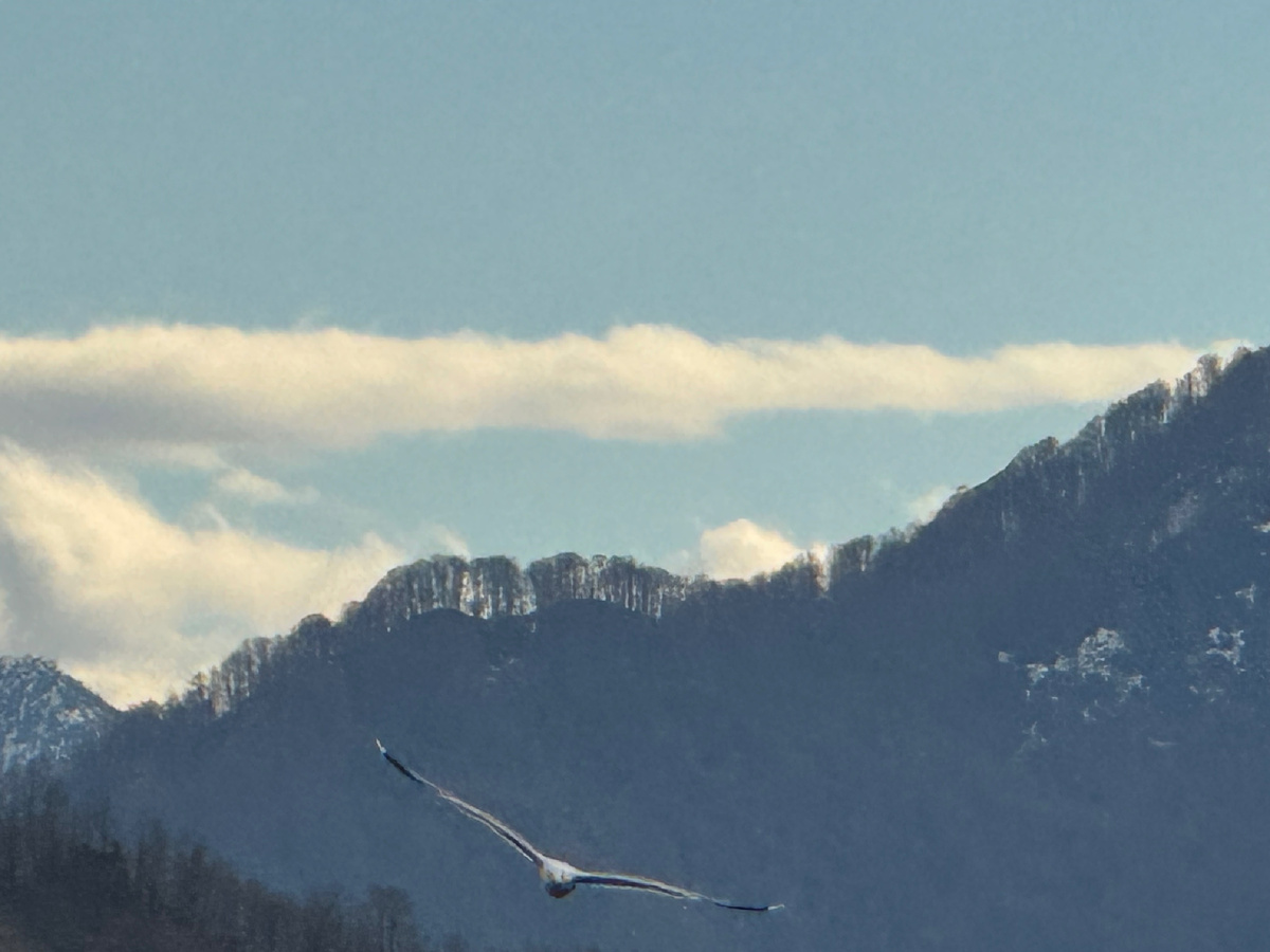 Батуми. Фото наше.