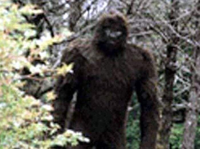 Фото из интернета