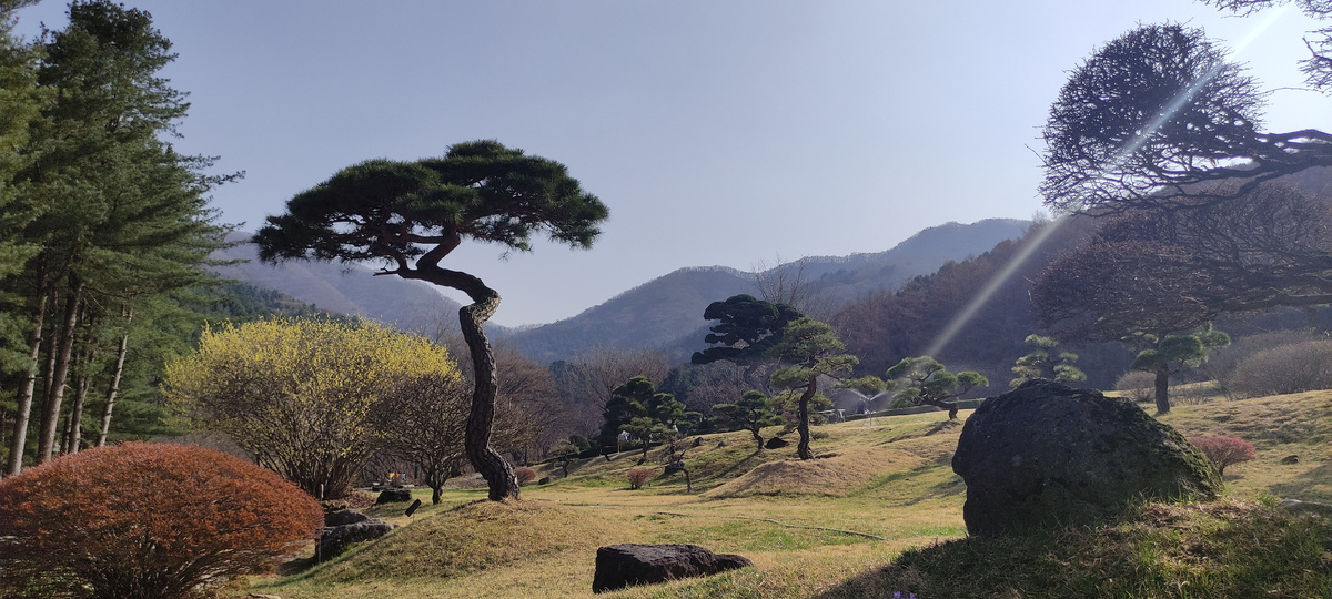 Morning Plaza - кусочек Сада
