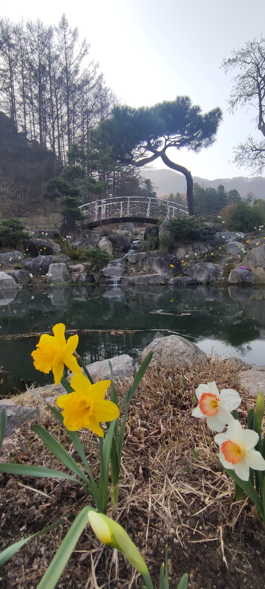 Вода, камни, полукруглый мост - одни из распространенных элементов в ландшафте парка