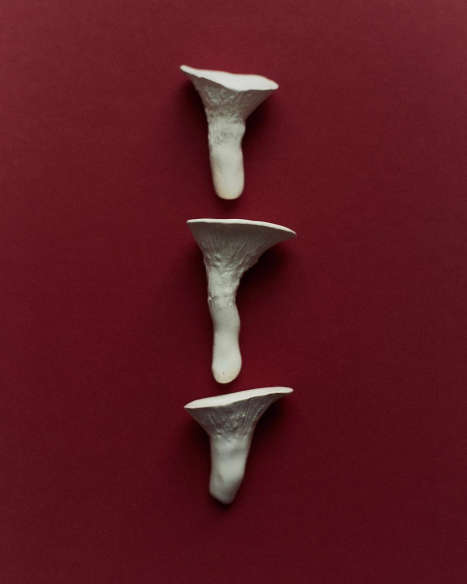 Бюро МОХ представило новую коллекцию игрушек в виде овощей и грибов