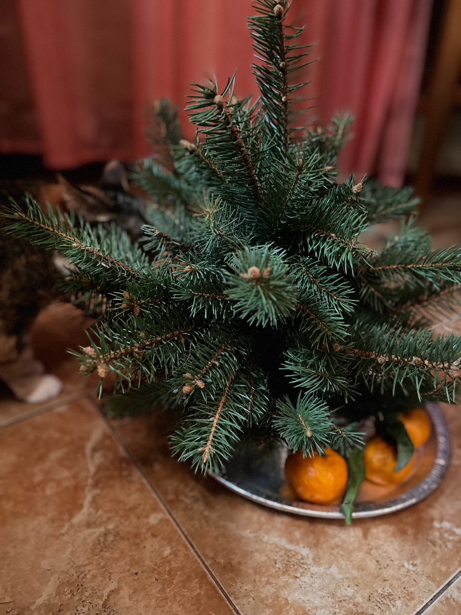 Елочка из еловых веток