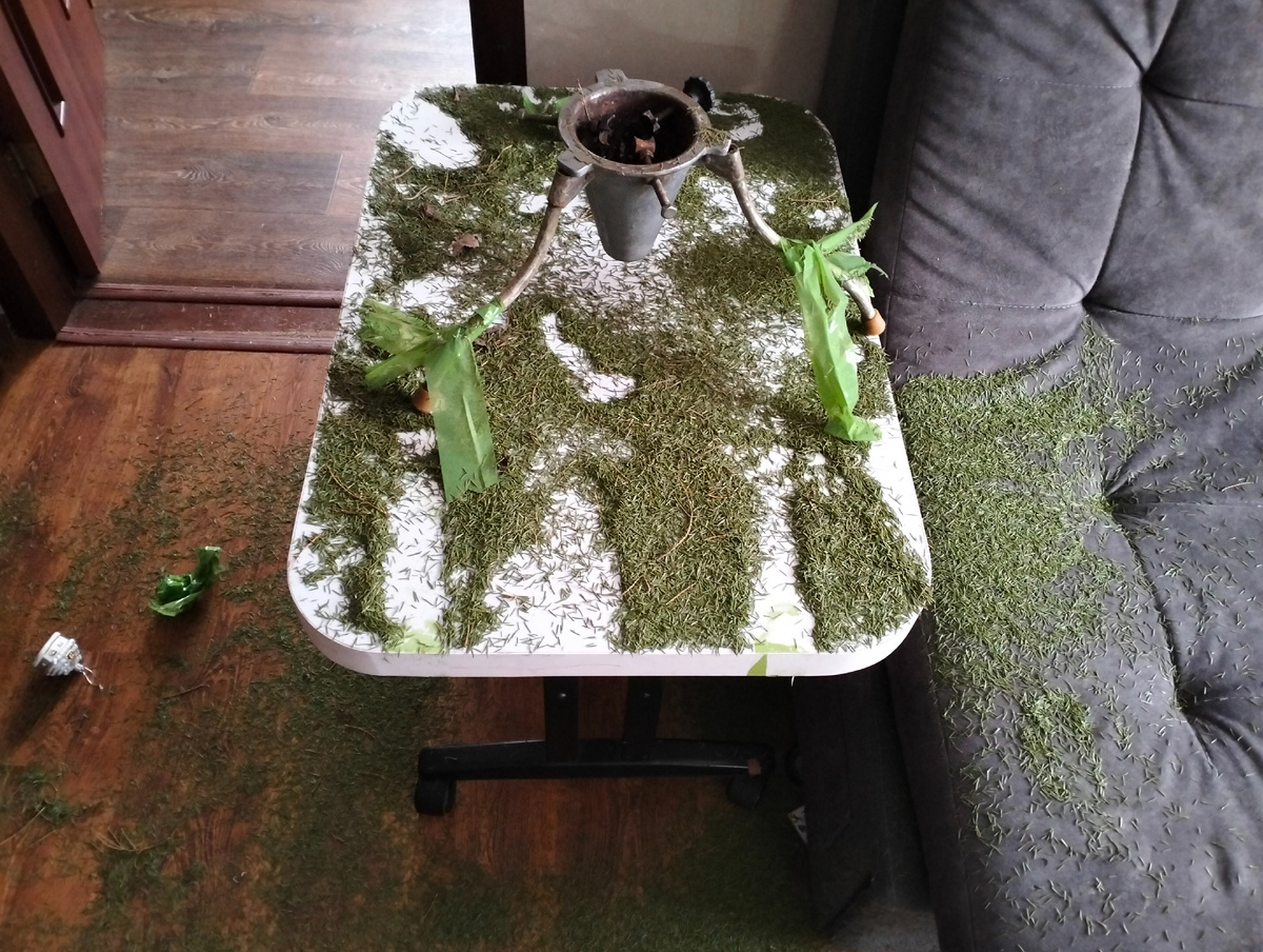 Почти финал уборочной кампании. И да, примотать зелёным скотчем ёлку к столу было плохой идеей.