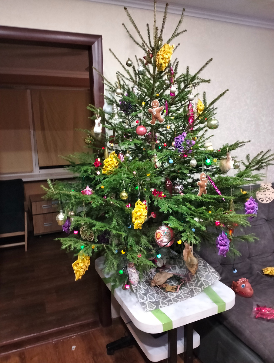 В процессе наряжания наша "настоящая ёлка" выглядела вот так