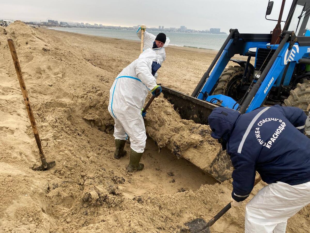 Фото: Пресс-служба администрации Краснодара