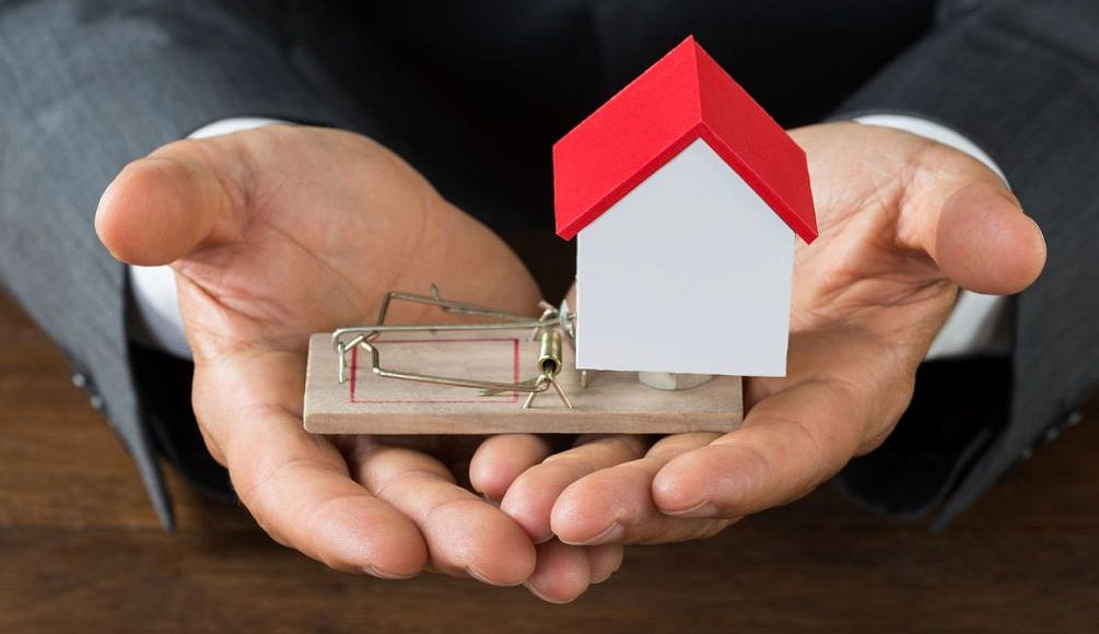 Источник Яндекс.фото