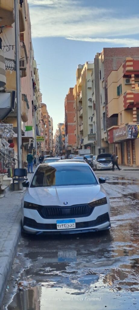    Резкое похолодание в Египте Фото для Канала на Дзен [Лиля. Египет]