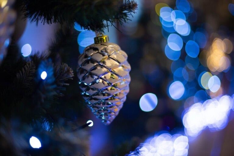 Новый год. Фото: Общественная Служба Новостей