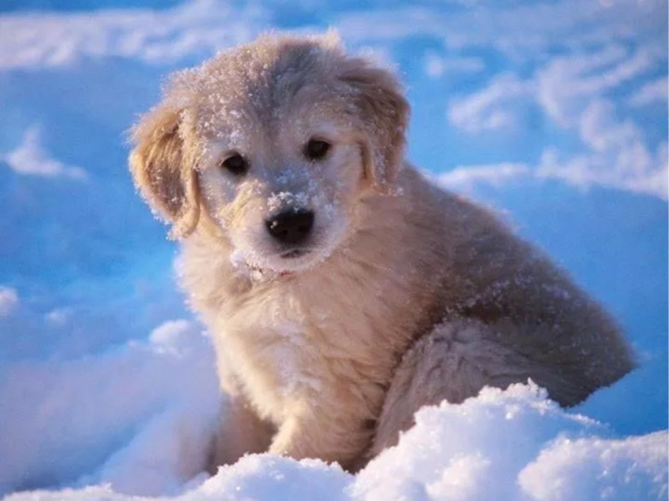 Яндекс.картинки для обложки