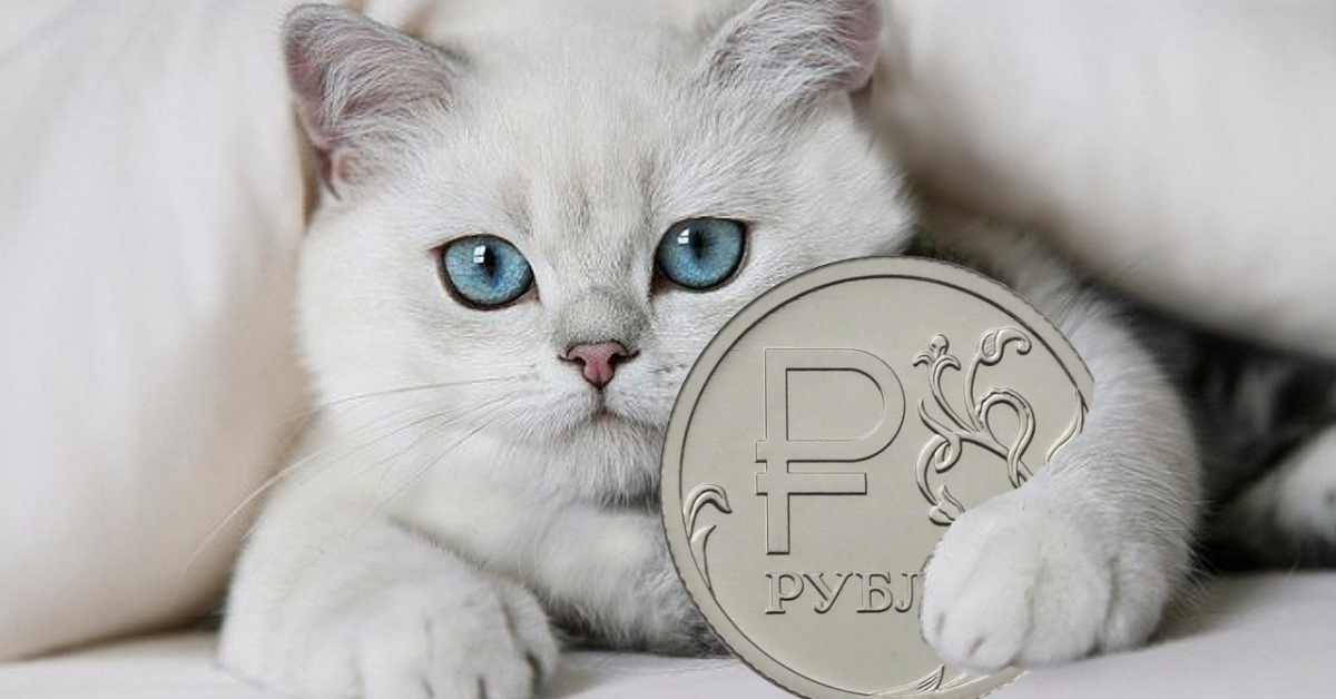 источник Яндекс-картинки