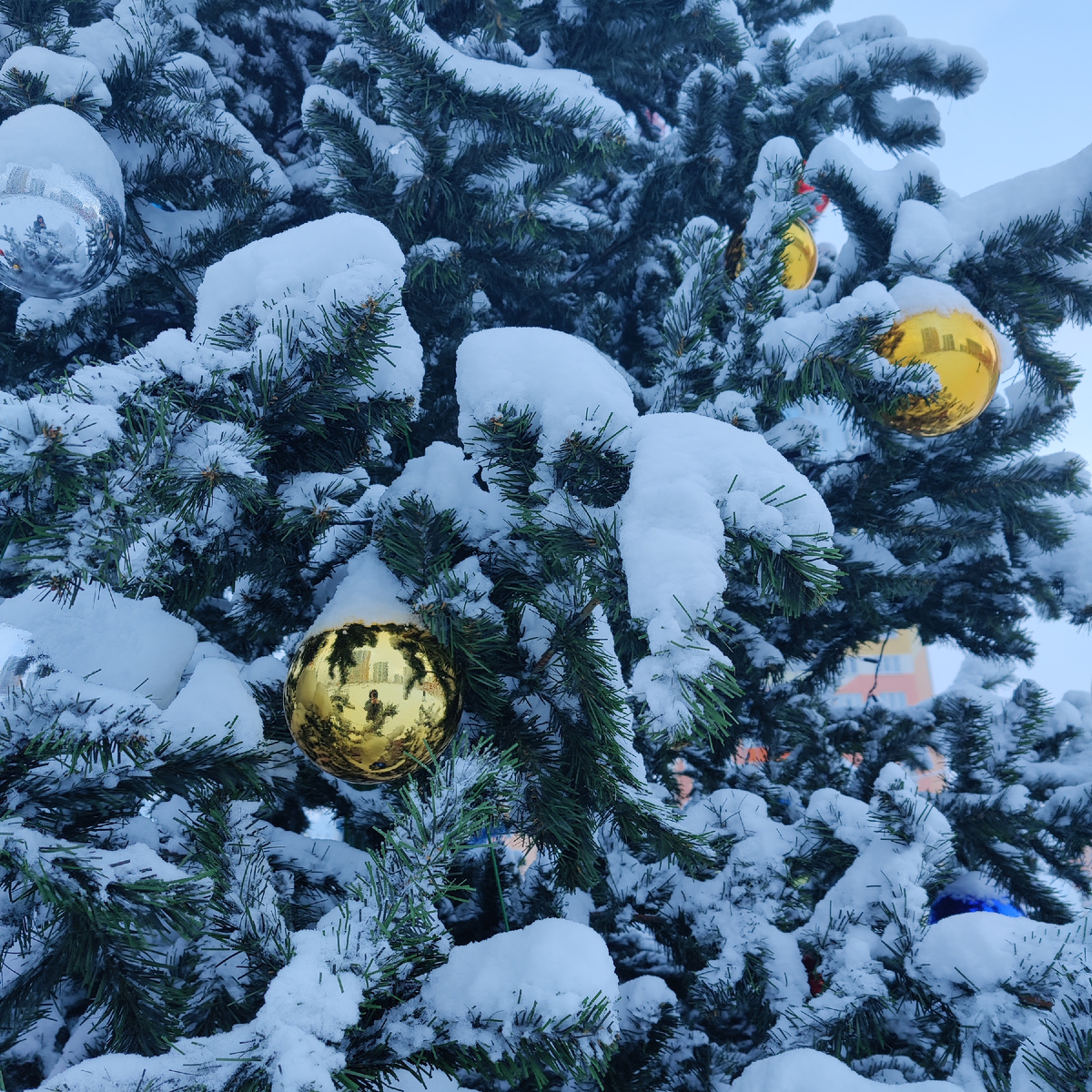 Фотографии просто для настроения, сделанные 15 декабря, когда в Питере был снег. Сегодня было плюс 3 и дождь 😁
