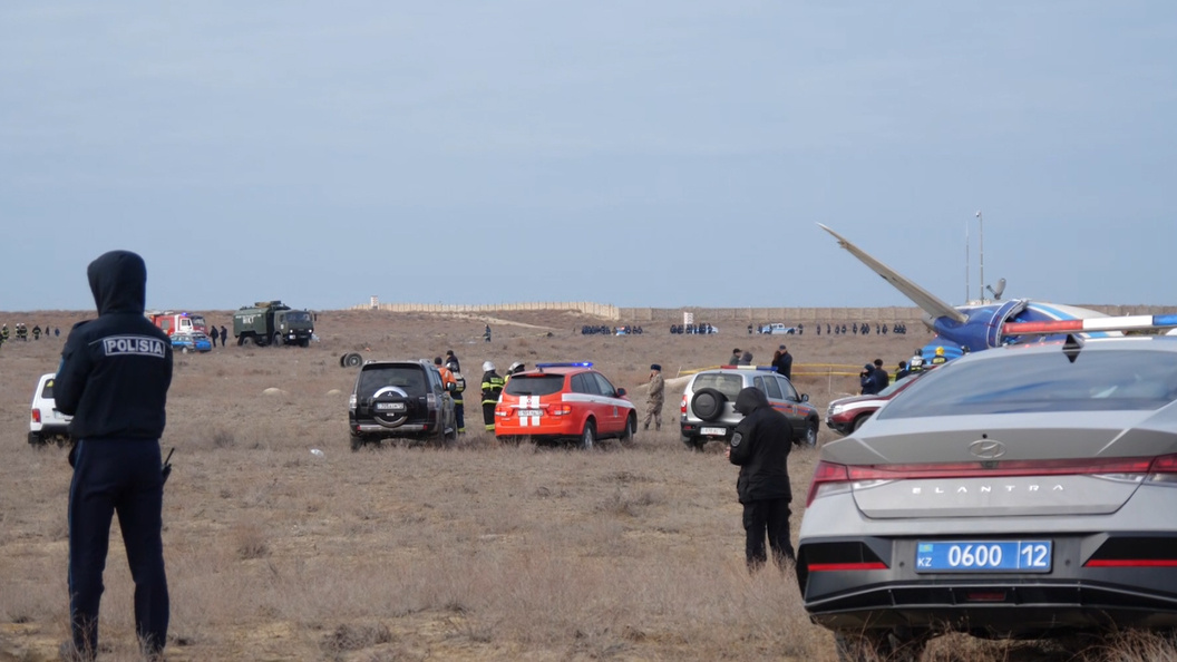    Stringer/NEWS.ru/Globallookpress