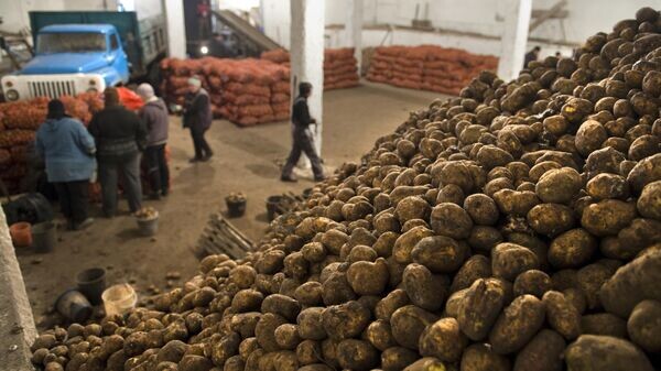    © Sputnik / Алексей Мальгавко