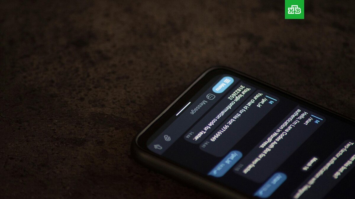    Фото: Lana Codes / unsplash.com