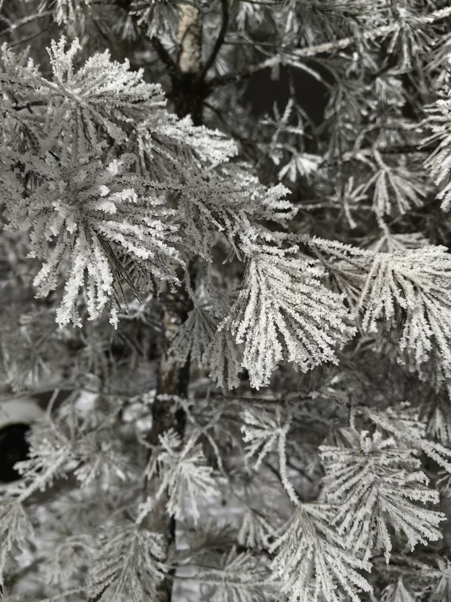 Вот такая красота 