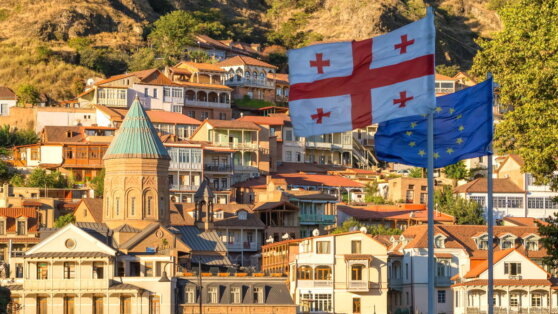    Кобахидзе заявил, что власти Грузии не будут препятствовать ежедневным акциям протеста в Тбилиси Егор Гордеев