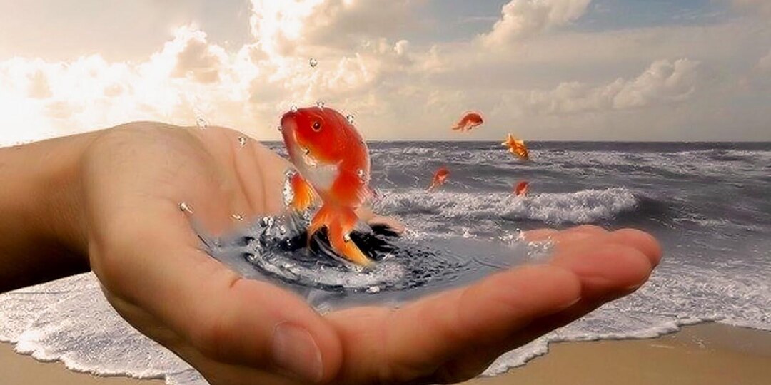 ГДЕ МЫ СЕЙЧАС И ЧТО ХОТИМ ЗАВТРА?