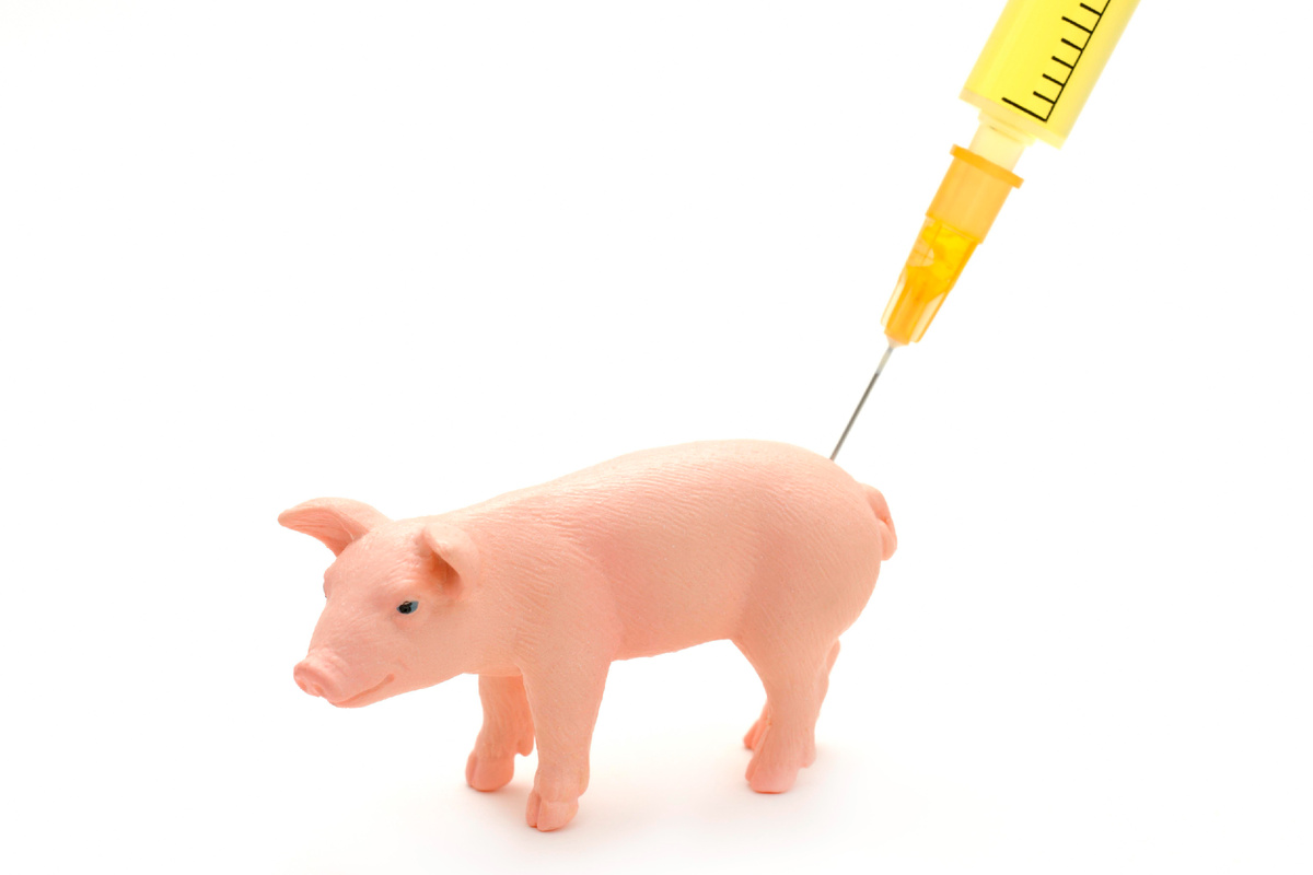 Фото: © Herbert Kehrer/ imageBROKER.com/ Global Look Press