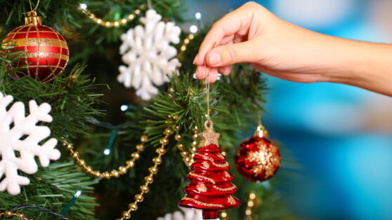    Какой сегодня праздник: 30 декабря – День ёлочных игрушек Виктория Шварц