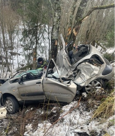 В дтп в Ленинградской области погиб белорус и два попали в больницу Зоя Лебедева  📷

