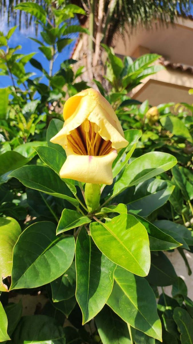 Фотография из личного архива