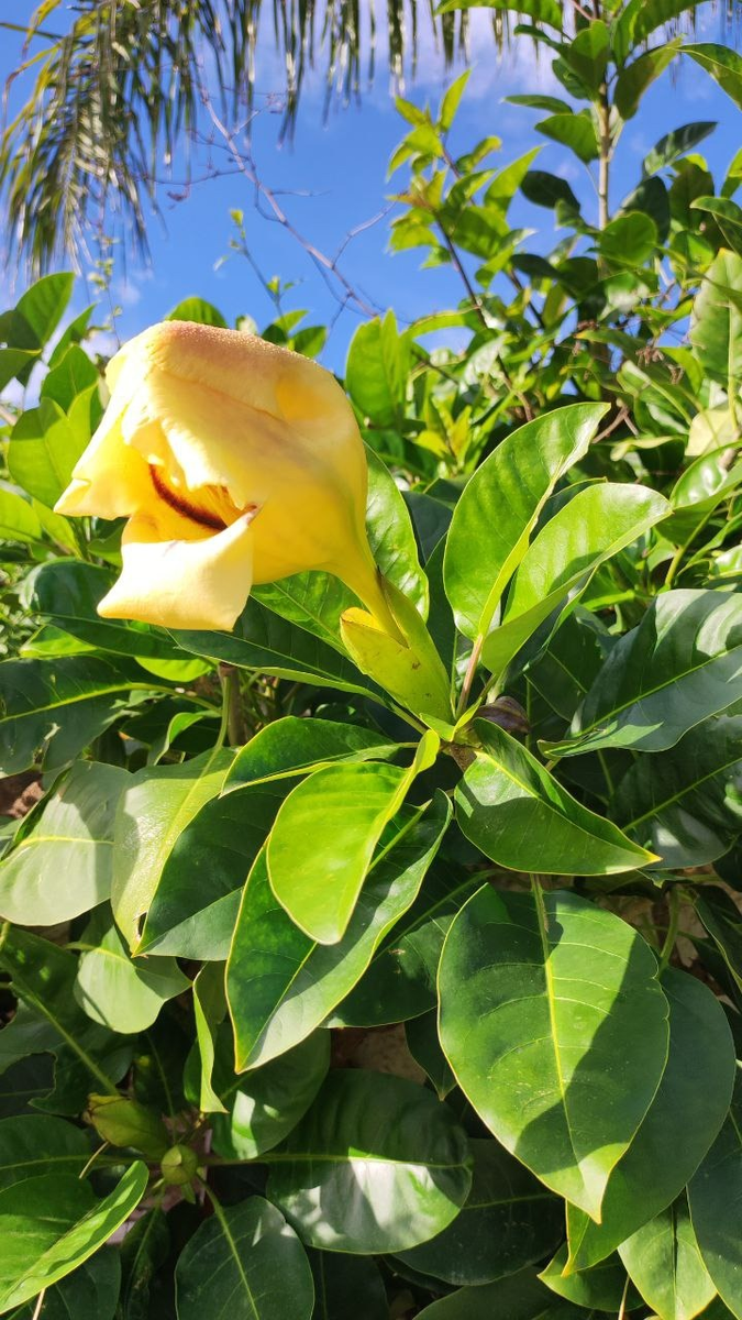 Фотография из личного архива