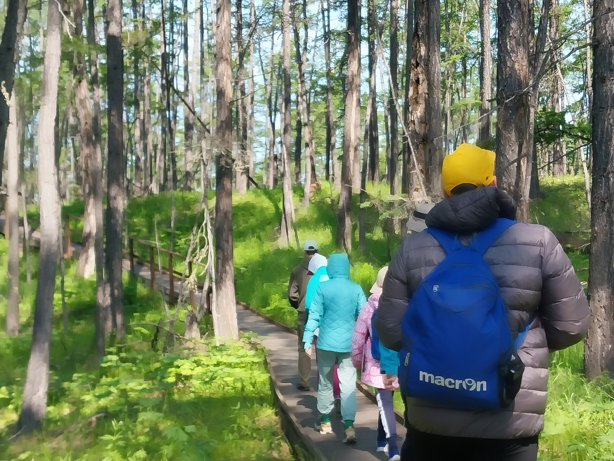 Идем смотреть нерп