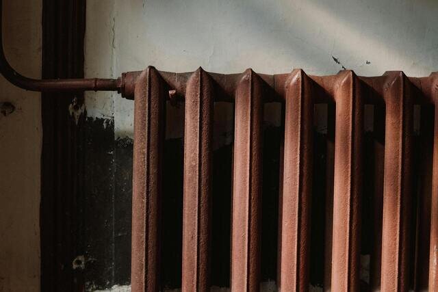 Фото: pexels.com