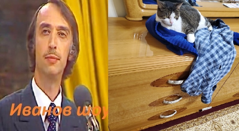 А.Иванов и кот на одежде.